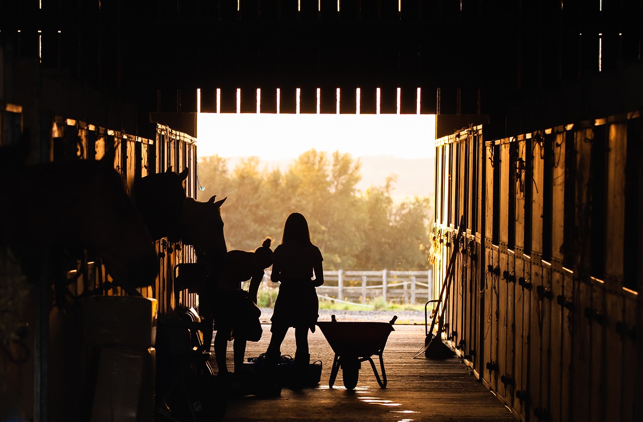 stable, girl, horses, animals, barn, farm, nature, ranch, silhouette